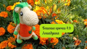 Бешеные крючки 4.0. Хотелки. Лошадушка🧶🐎