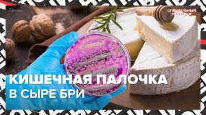 ОТРАВЛЕНИЕ СЫРОМ БРИ? | На что обратить внимание при покупке | Специальный репортаж