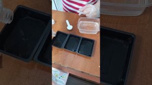 1 часть червячки