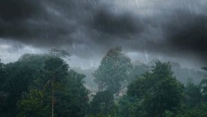 Звуки сильного дождя с грозой для сна / Релакс / Медитация