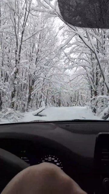 #карелия #зима #красота #shorts смотреть онлайн