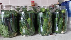 Заготовки продолжаются