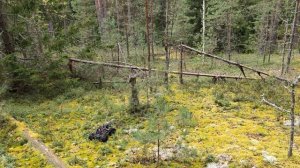 прогулка по лесу rc axial remohobby