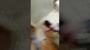 Я вам хочу быстро сказать