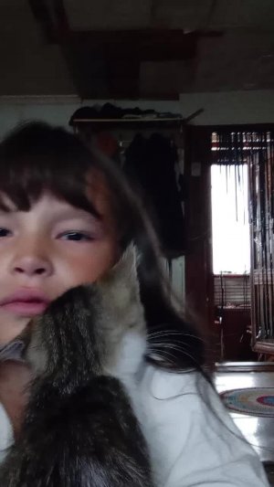 сегодня у нас развлекаловка 🤣