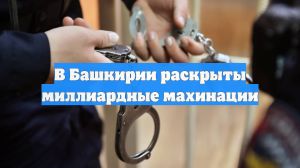 В Башкирии раскрыты миллиардные махинации