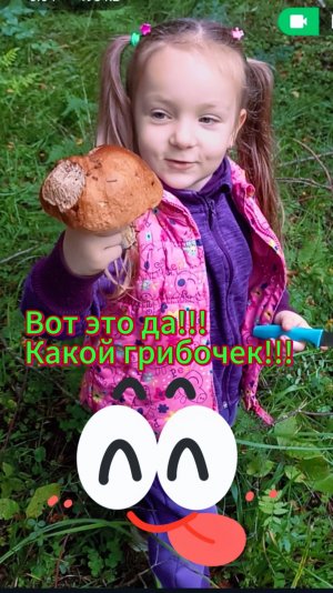 Как правильно и весело собирать грибы!