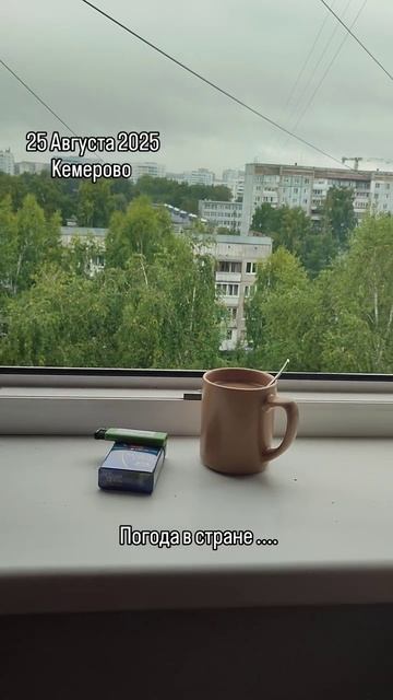 2025-08-25 смотреть онлайн