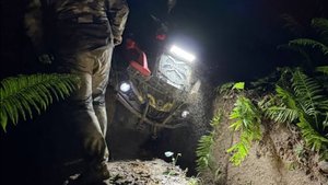 Ахсарисарский лес