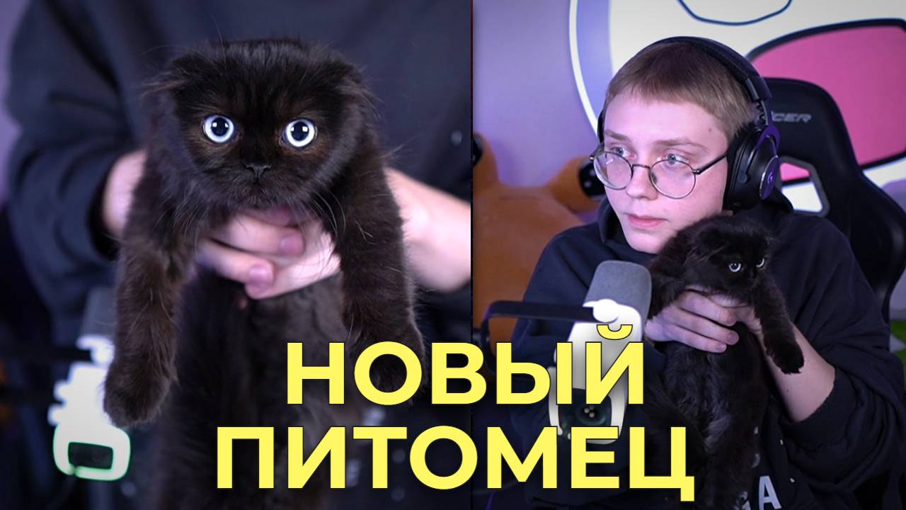 ДРЕЙК ЗАВЕЛ КОШКУ ЗА 80000 РУБЛЕЙ смотреть онлайн