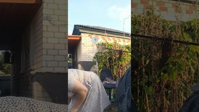 1000190553.mp4 скидочки .т.89020931602 смотреть онлайн