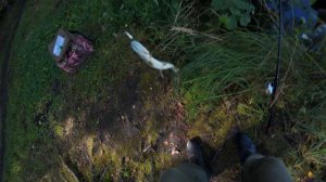 Ловля на тейл - спиннеры китайским кастинговым комплектом