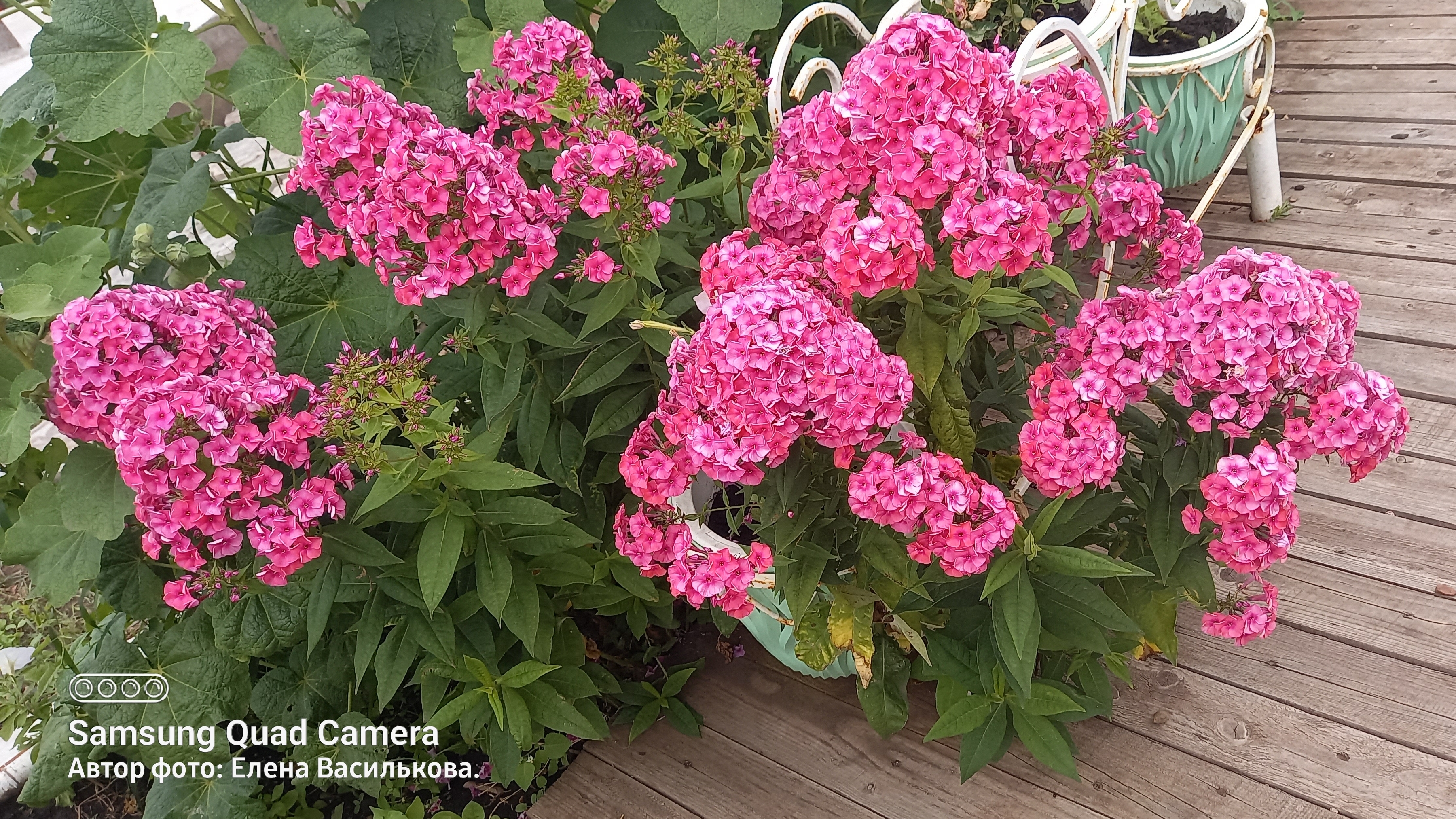 СП Вяжем летом//Отчёт 4//Вяжу носочки смотреть онлайн