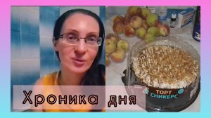 ПРО РУТУБ ..ОТВЕЧАЮ НА КОММЕНТАРИИ..ВКУСНЫЙ ЗАВТРАК...КУПИЛА ПЕРСИКИ И ТОРТ