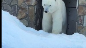 Современное искусство «Хорошее настроение»