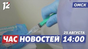 Вакцина от гриппа / Реконструкция аэропортов / Медведь напал на человека. Новости Омска