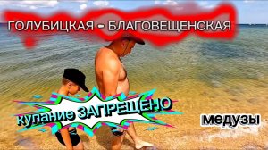 Голубицкая Медузы Отакавали. Благовещенская Купание Запрещено ШТОРМ!