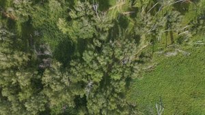 Урочище Подволошное