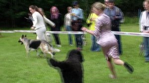 HDV_5770гордость россиищедроелето