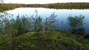 2025.08.25. Норильск. Метеостанция отметила самые поздние +25 в истории! Читайте описание.