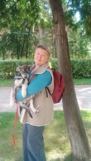 Отчет о последних событиях с садизмом пси-террористов в адрес всей нашей семьи и питомцев