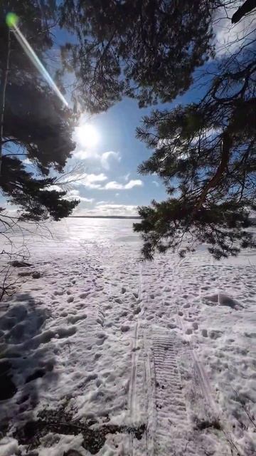 #карелия #красота #весна #shorts смотреть онлайн