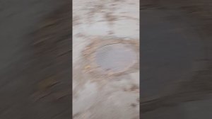 гуляем по лесу🙃