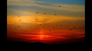 КАК НАУЧИТЬСЯ МОЛИТЬСЯ И ПРОСИТЬ БОГА. Сокровище духовное,15. свт.Тихон Задонски