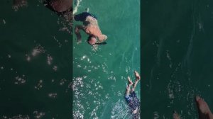 Путешествие в Абхазию 2025 (Familia in Familia)