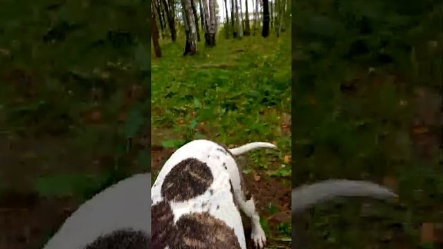 25-08-2025 смотреть онлайн