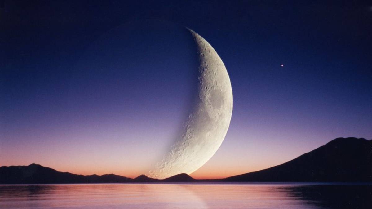 С Днем рождения, Дима! смотреть онлайн