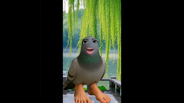 Мемы из тиктока часть 1