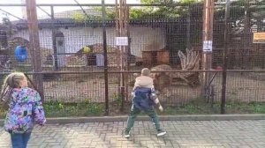 NGGS6669Шархан Игры с ребятками 25.08.2025 Видео от опекуна Светланы