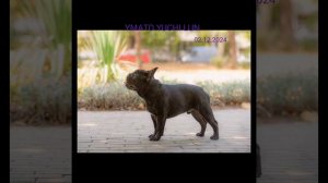 Презентация