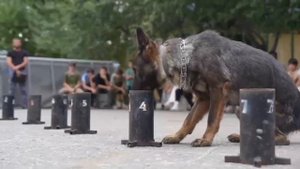 В Малгобеке полицейские и росгвардейцы навестили ребят/