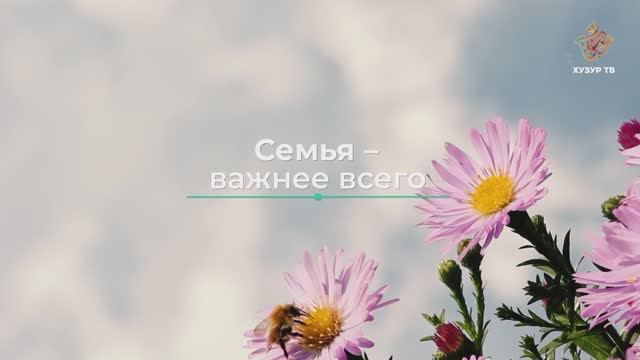 Семья – важнее всего | Чудеса сотворения. Мир насекомых