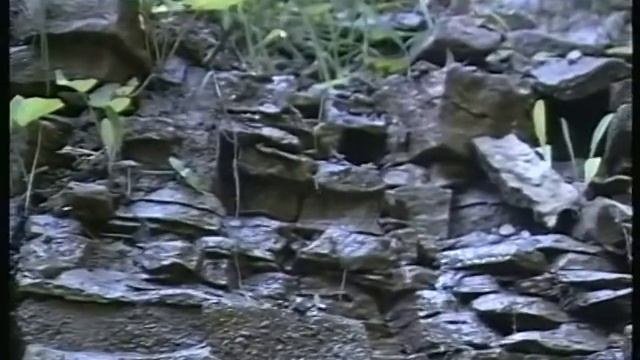 Водопад в Елабуге смотреть онлайн