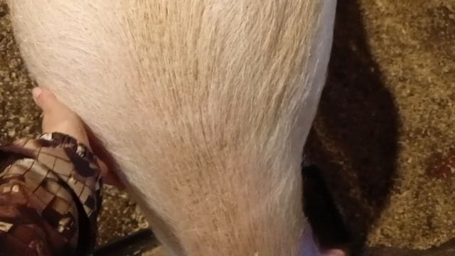 Дела-заботушки. смотреть онлайн