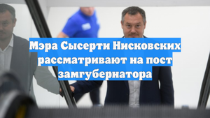 Мэра Сысерти Нисковских рассматривают на пост замгубернатора