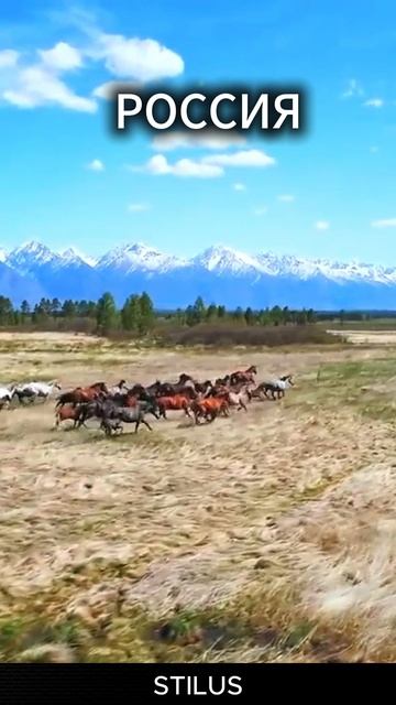 Россия/Russia. #Россия #Russia смотреть онлайн
