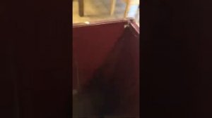 Отзыв о декристаллизаторе Флексихит