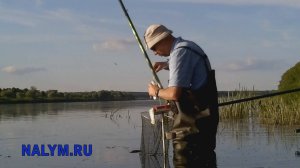 Ока под Касимовом, июнь 2017