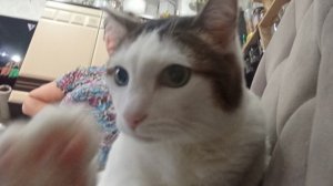 у меня 1 квинтилион в роблоксе