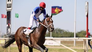 На Краснодарском ипподроме прошли скачки на Кубок губернатора Кубани