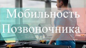 Упражнения на мобильность и подвижность позвоночника