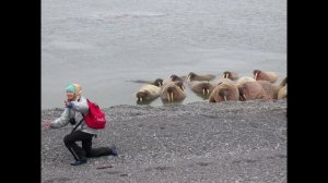 Гиперборея пионера Пети