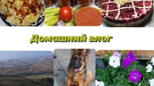 Влог Целыми днями какие то заготовки на зиму