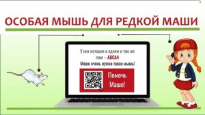 «Проект «Особые мыши для редкой Маши»   волонтерский фандрайзинг»
