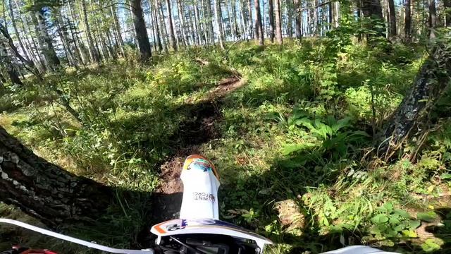 Лесная Анархия_Талица_23-08-2025_1 этап смотреть онлайн