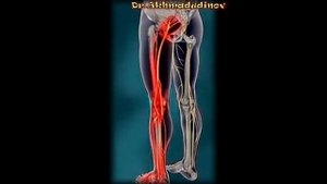 Упражнения при боли в спине и ноге. Седалищный нерв, упражнения. Ахмадудинов А.М.